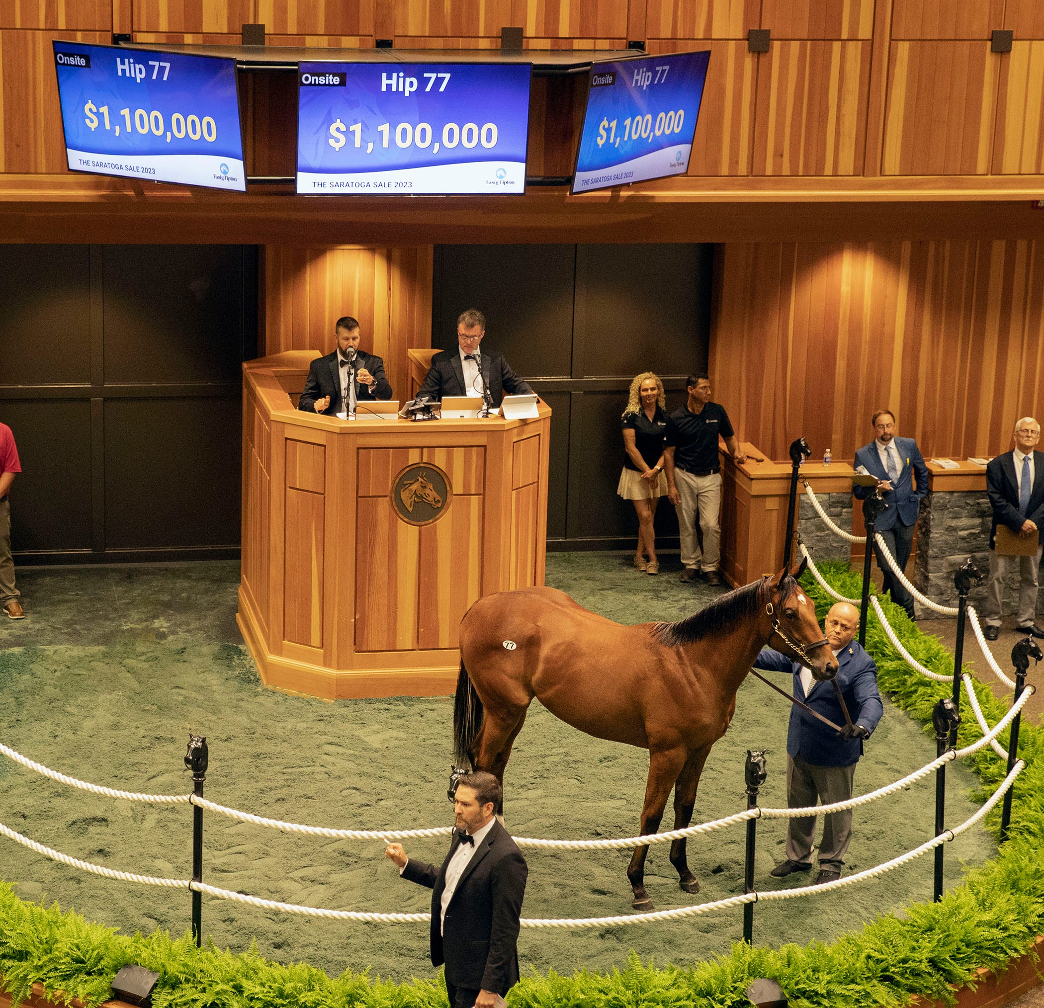 1.1 million Quality Road colt tops first FasigTipton Saratoga select